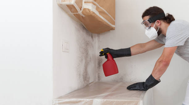 Professional Basement Mold Remediation technician working in Lilburn, GA