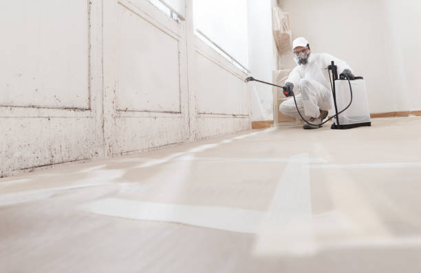 24/7 Emergency Basement Mold Remediation experts in Lilburn, GA